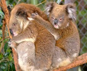  Northern Rivers Accommodation