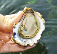 The Oyster Pot - Northern Rivers Accommodation