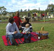 Blackbutt Forest Reserve - Northern Rivers Accommodation