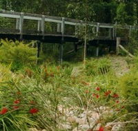 Eurobodalla Botanic Gardens - Northern Rivers Accommodation