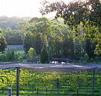 Lyrebird Ridge Organic Winery - Northern Rivers Accommodation