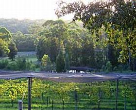 Lyrebird Ridge Organic Winery - Northern Rivers Accommodation 0