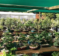 Bonsai at the Bay - Northern Rivers Accommodation