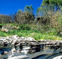 Abrahams Bosom Reserve - Northern Rivers Accommodation