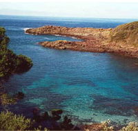 Bass Point Reserve - Northern Rivers Accommodation