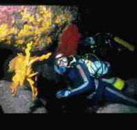 Solitary Islands Marine Park - Northern Rivers Accommodation