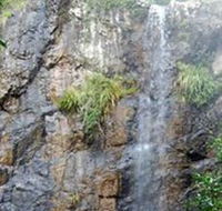 Wedding Bells Forest Drive - Northern Rivers Accommodation