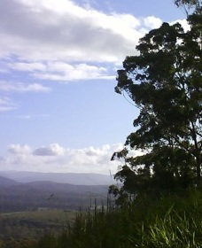 Sherwood Nature Reserve - Northern Rivers Accommodation 0