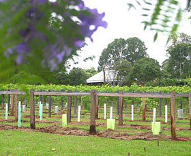 Douglas Vale Historic Homestead & Vineyard - Northern Rivers Accommodation 0