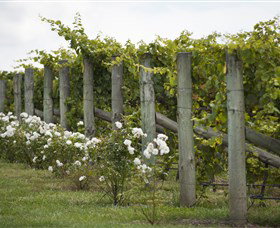 Lambert Vineyards Cellar Door - Northern Rivers Accommodation 2