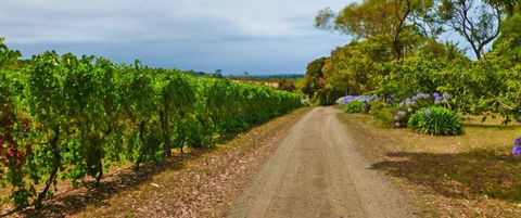 Merricks Estate - Northern Rivers Accommodation 1