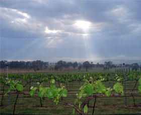 Thunder Ridge Wines - Northern Rivers Accommodation 1