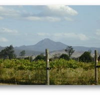 Ironbark Ridge Vineyard - Northern Rivers Accommodation