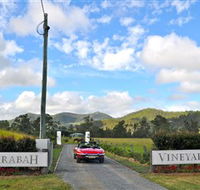 Sarabah Estate Vineyard - Northern Rivers Accommodation