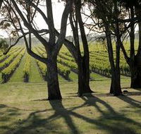 Henry's Drive Vignerons - Northern Rivers Accommodation