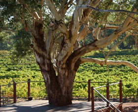 Upper Reach Winery And Cellar Door - Northern Rivers Accommodation 1