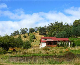 St Imre Vineyard - Northern Rivers Accommodation 0