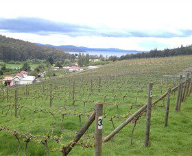 St Imre Vineyard - Northern Rivers Accommodation 1
