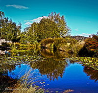 Loira Vines - Northern Rivers Accommodation