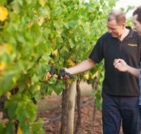 Fratin Brothers Vineyard - Northern Rivers Accommodation