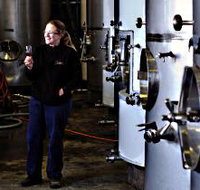 Holm Oak Vineyard - Northern Rivers Accommodation