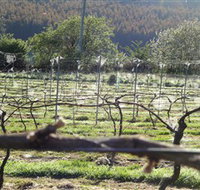 Three Willows Vineyard - Northern Rivers Accommodation