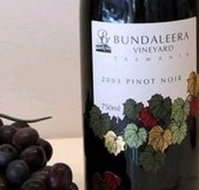 Bundaleera Vineyard - Northern Rivers Accommodation