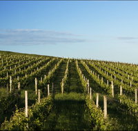 Delamere Vineyard - Northern Rivers Accommodation