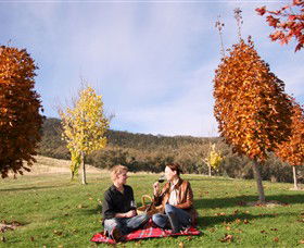 Gapsted Wines - Northern Rivers Accommodation 5
