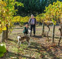 Little River Wines of Taggerty - Northern Rivers Accommodation