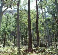 Cathedral Range State Park - Northern Rivers Accommodation