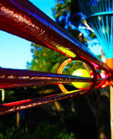 Bellarine Adventure Golf - Northern Rivers Accommodation 6