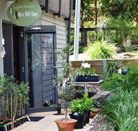 The Lighthouse Olive Mill Shop - Northern Rivers Accommodation