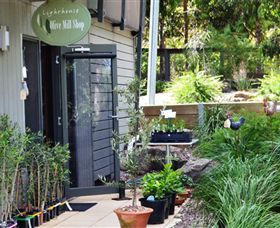 The Lighthouse Olive Mill Shop - Northern Rivers Accommodation 0