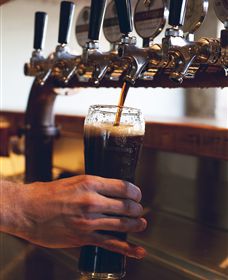 Napoleone Brewery And Ciderhouse - Northern Rivers Accommodation 3