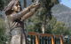 Marysville Kin Playspace - thumb 0