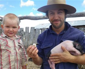 Gleneden Organic Farm And The Gleneden Bullock Team - Northern Rivers Accommodation 2