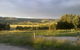 Gleneden Organic Farm And The Gleneden Bullock Team - thumb 0