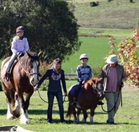 Bathurst Farm Experience - Northern Rivers Accommodation