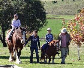 Bathurst Farm Experience - Northern Rivers Accommodation 0