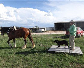 Bathurst Farm Experience - Northern Rivers Accommodation 7