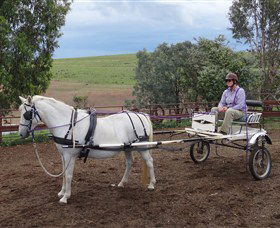 Bathurst Farm Experience - Northern Rivers Accommodation 8