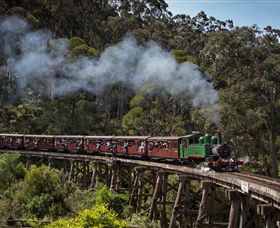 Puffing Billy Steam Railway - Northern Rivers Accommodation 0