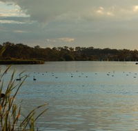 Lake Inverell Reserve - Northern Rivers Accommodation