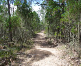 Goonoowigall State Conservation Area - Northern Rivers Accommodation 1