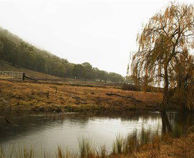 Logan Wines - Northern Rivers Accommodation 6