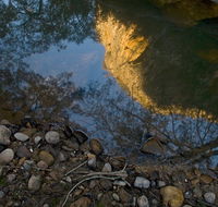 Abercrombie Karst Conservation Reserve - Northern Rivers Accommodation