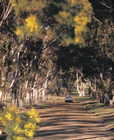 Albert Facey Heritage Trail - Northern Rivers Accommodation 0