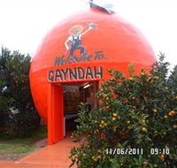 Gayndahs Big Orange - Northern Rivers Accommodation
