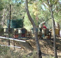 7 Oaks Sapphire Fossicking - Northern Rivers Accommodation